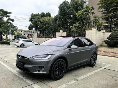 2019年2月 特斯拉 Model X Model X 100D 長續(xù)航版圖片