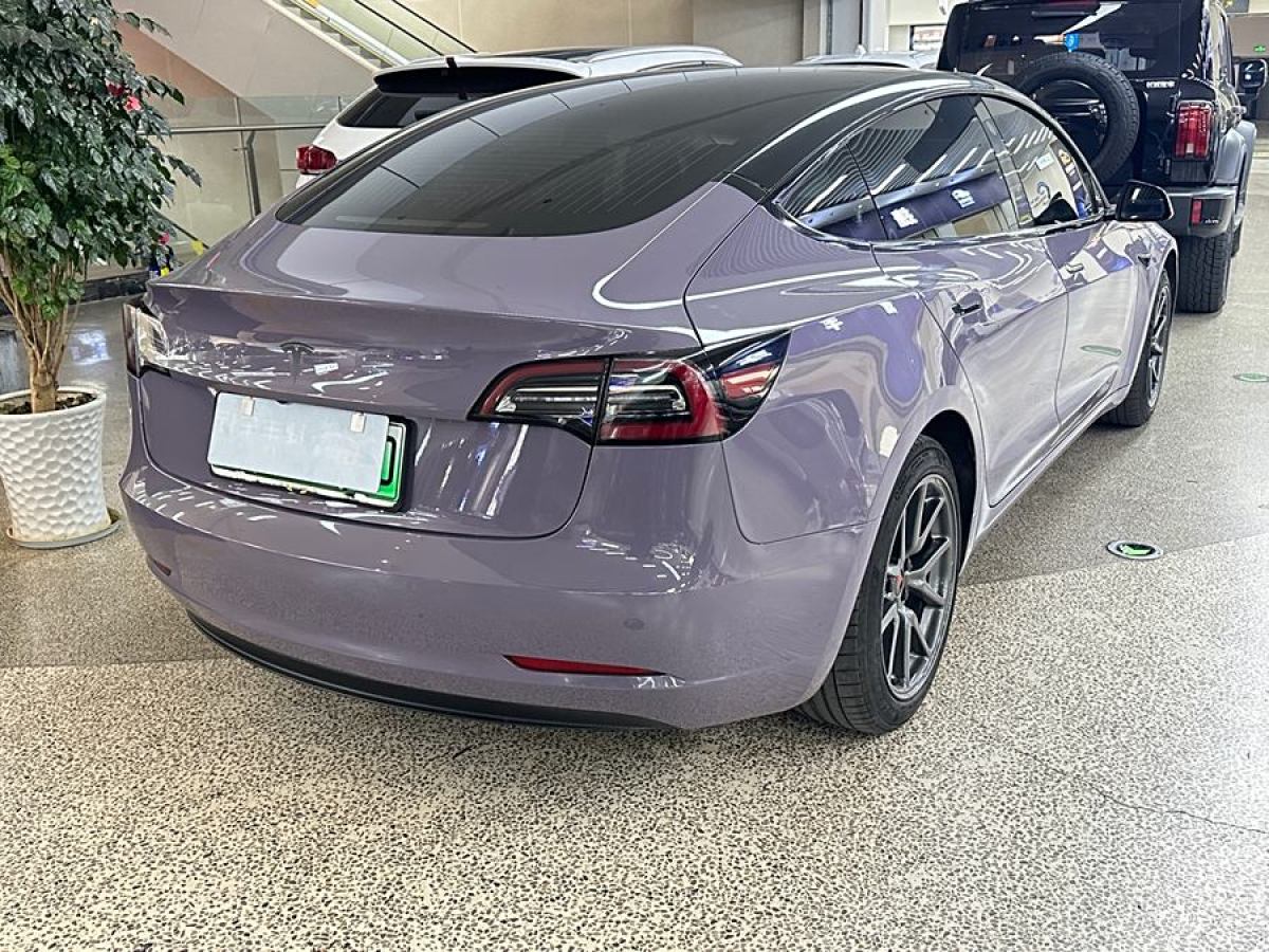 特斯拉 Model 3  2020款 改款 長續(xù)航后輪驅(qū)動版圖片