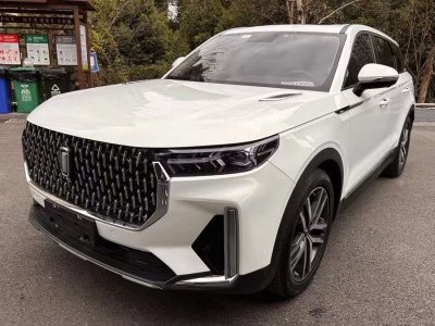 2019年12月 奔騰 T99 20TD 自動(dòng)運(yùn)動(dòng)尊貴型圖片