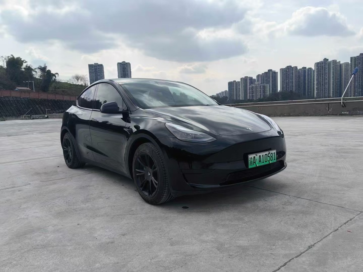 特斯拉 Model Y 圖片