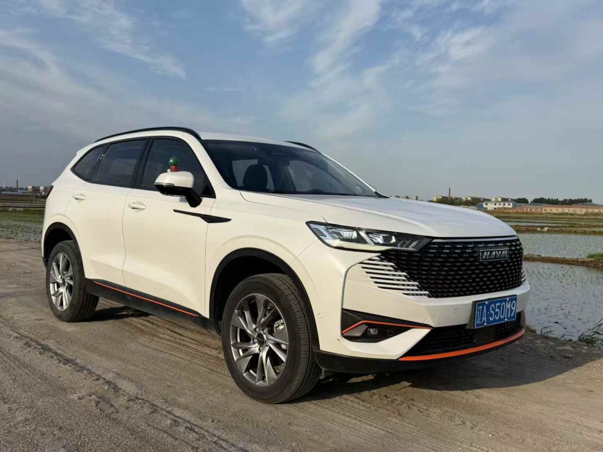 哈弗 H6  2021款 第三代 1.5T 低配圖片