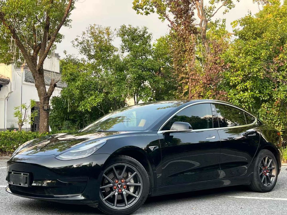 特斯拉 Model Y  2020款 標準續(xù)航后驅(qū)升級版圖片