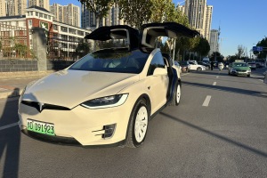 Model X 特斯拉 Model X 90D