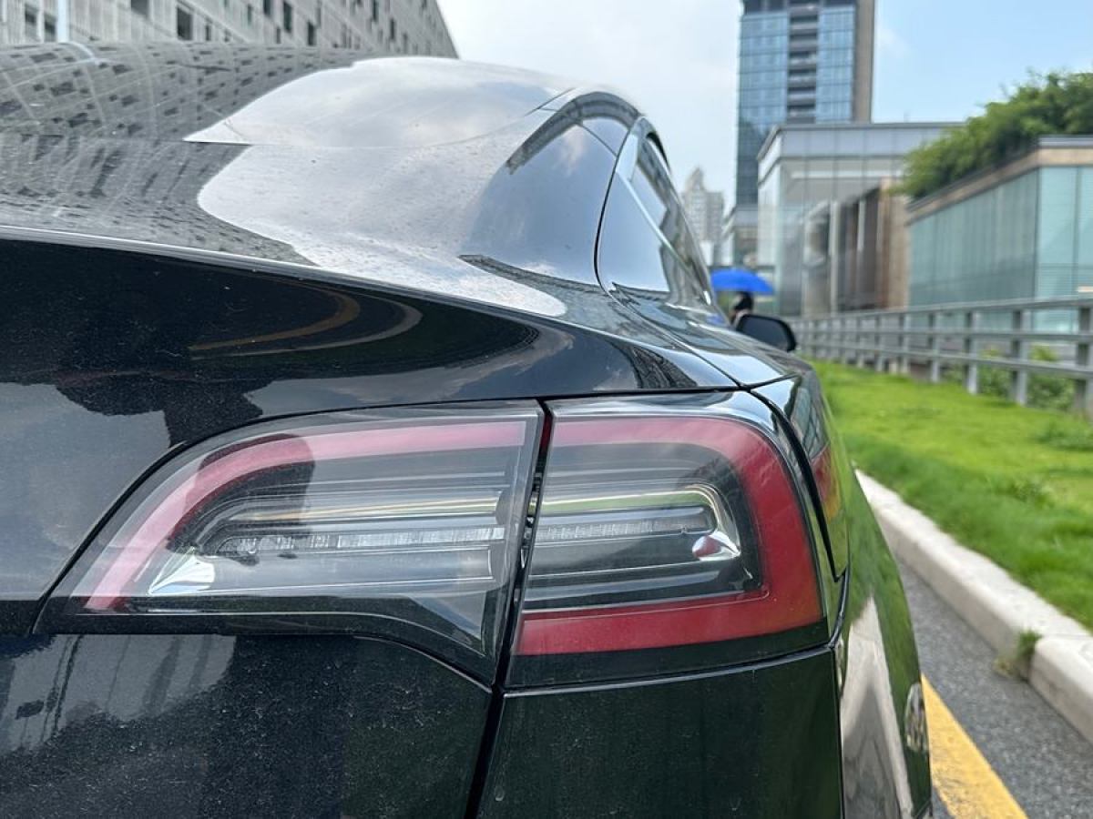 特斯拉 Model 3  2019款 标准续航后驱升级版图片