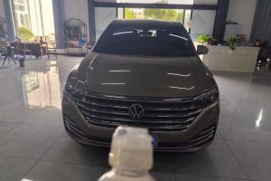 威然 大眾 