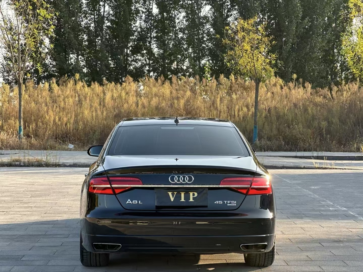 奧迪 奧迪A8  2017款 A8L 45 TFSI quattro卓越先鋒版圖片