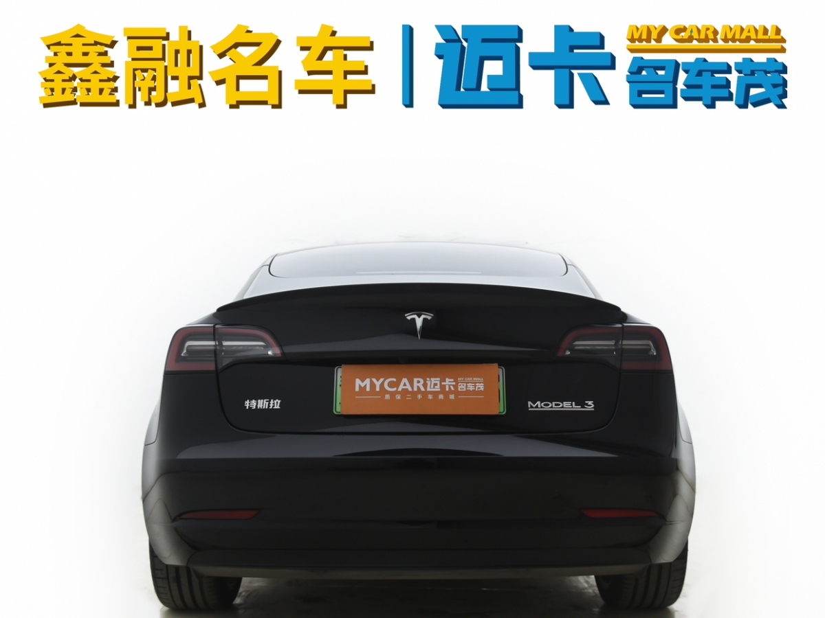 特斯拉 Model 3  2022款 Performance高性能全輪驅(qū)動(dòng)版圖片