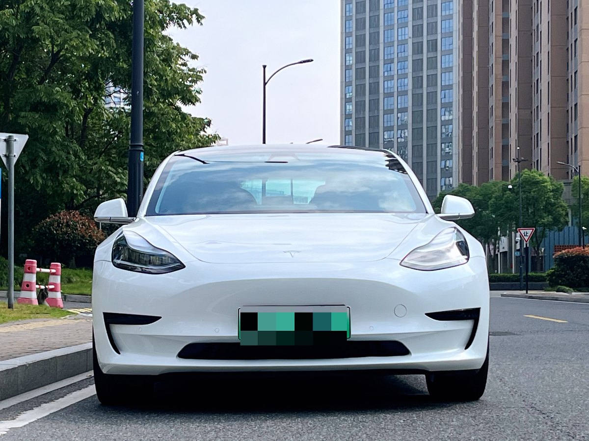 特斯拉 Model Y  2020款 改款 標(biāo)準(zhǔn)續(xù)航后驅(qū)升級版圖片