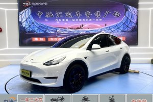 Model Y 特斯拉 改款 Performance高性能全轮驱动版