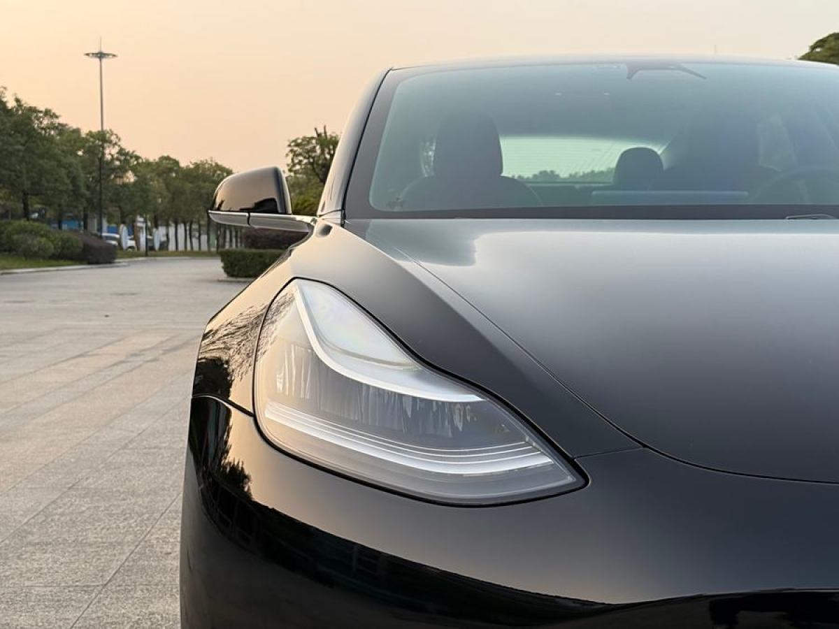 特斯拉 Model 3  2019款 長續(xù)航后驅(qū)版圖片