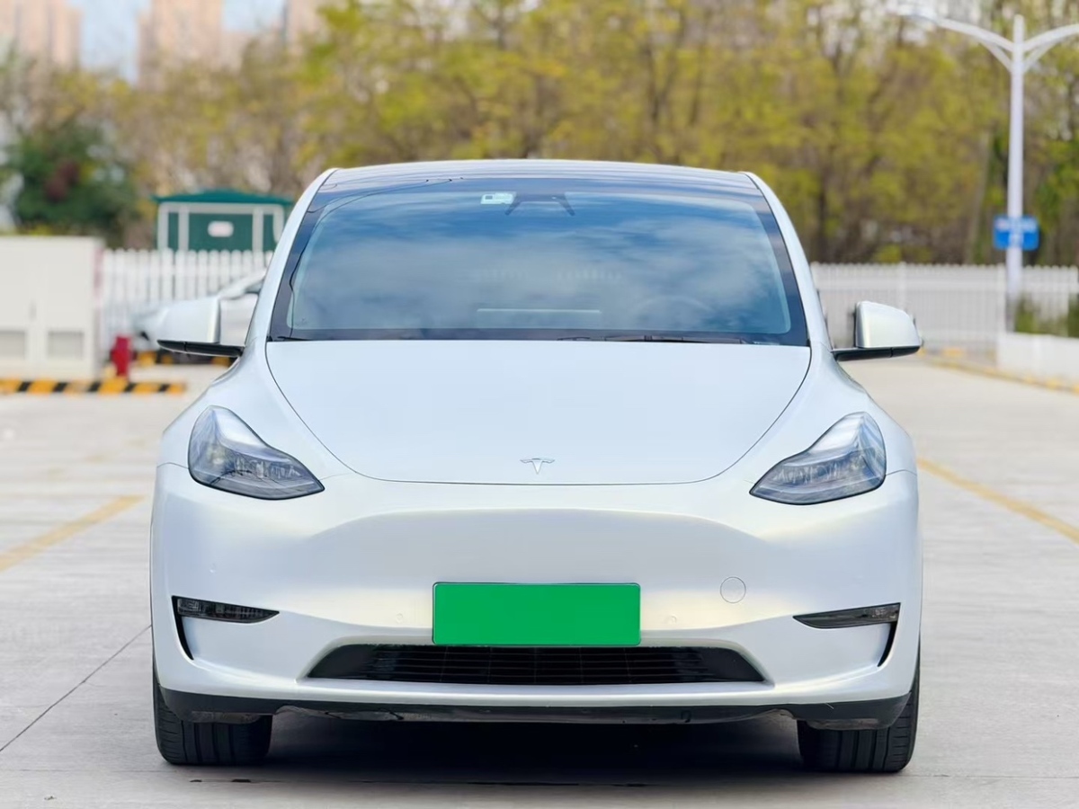 特斯拉 Model Y  2021款 標(biāo)準(zhǔn)續(xù)航后驅(qū)版圖片