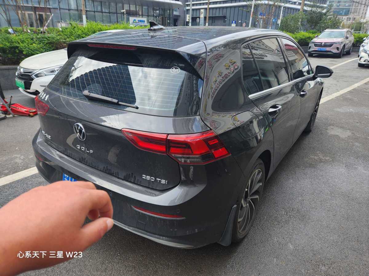 大眾 高爾夫  2021款 280TSI DSG Pro圖片