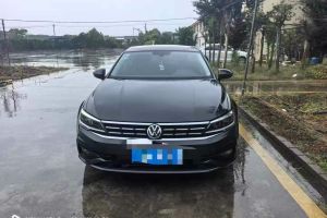 凌渡 大眾 
