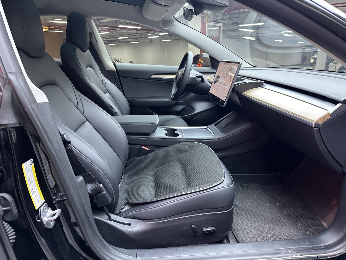 特斯拉 Model 3  2019款 標(biāo)準(zhǔn)續(xù)航后驅(qū)升級版圖片