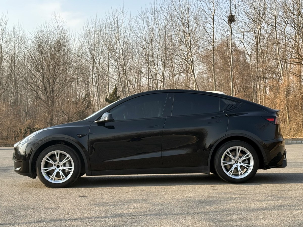 特斯拉 Model Y  2022款 改款 后輪驅動版圖片