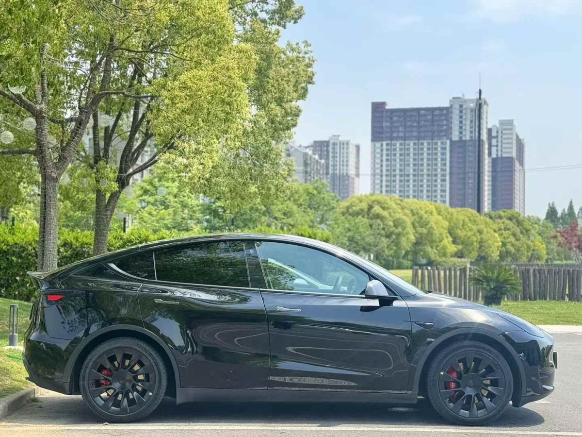特斯拉 Model S  2021款 Performance 高性能版圖片