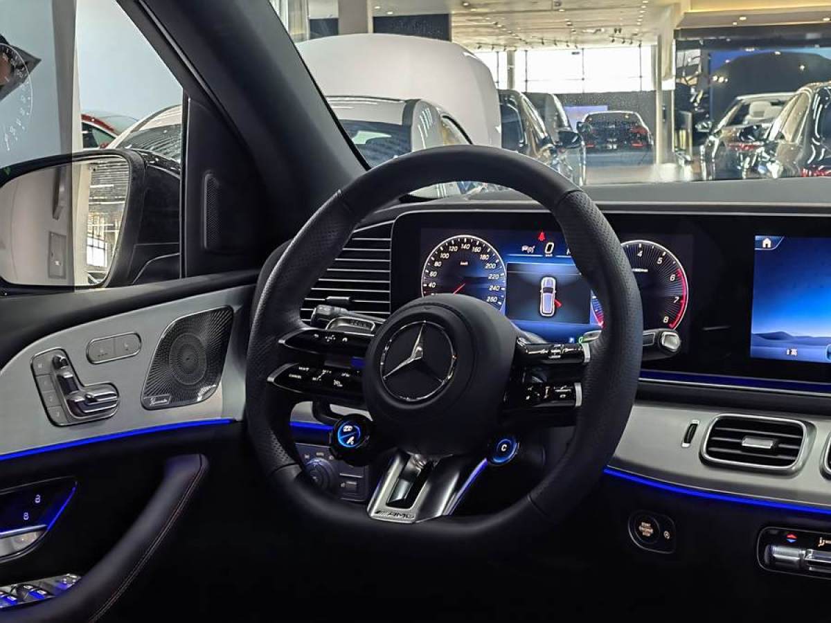 奔馳 奔馳GLE AMG  2024款 AMG GLE 53 4MATIC+圖片