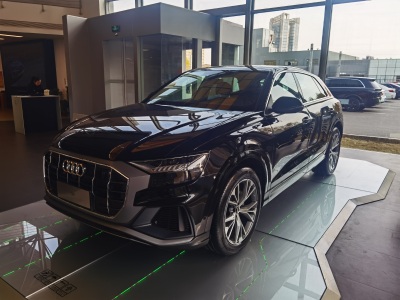 2024年1月 奧迪 奧迪Q8(進口) 55 TFSI 豪華動感型圖片