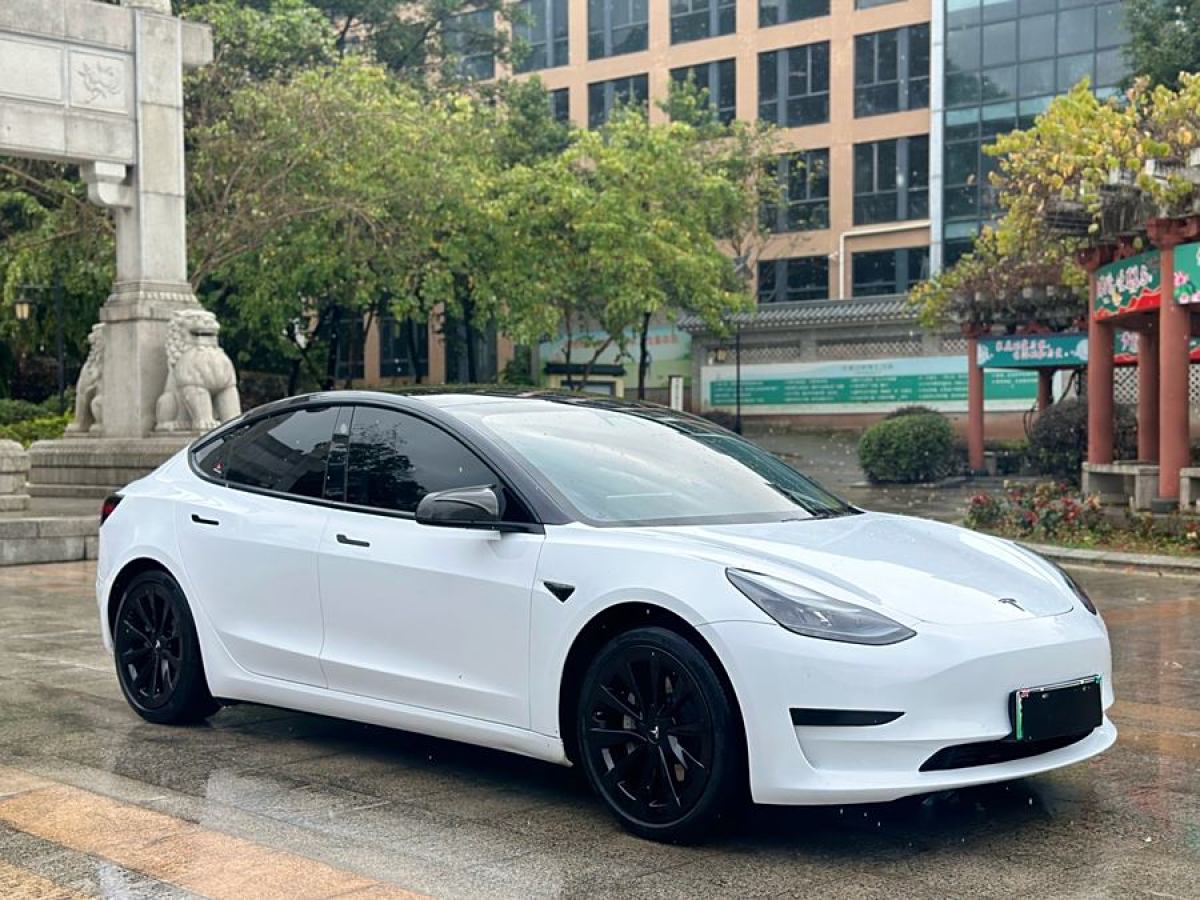 2021年6月特斯拉 Model 3  2021款 標(biāo)準(zhǔn)續(xù)航后驅(qū)升級版 3D6