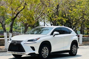 NX 雷克薩斯 200 前驅(qū) 鋒行版
