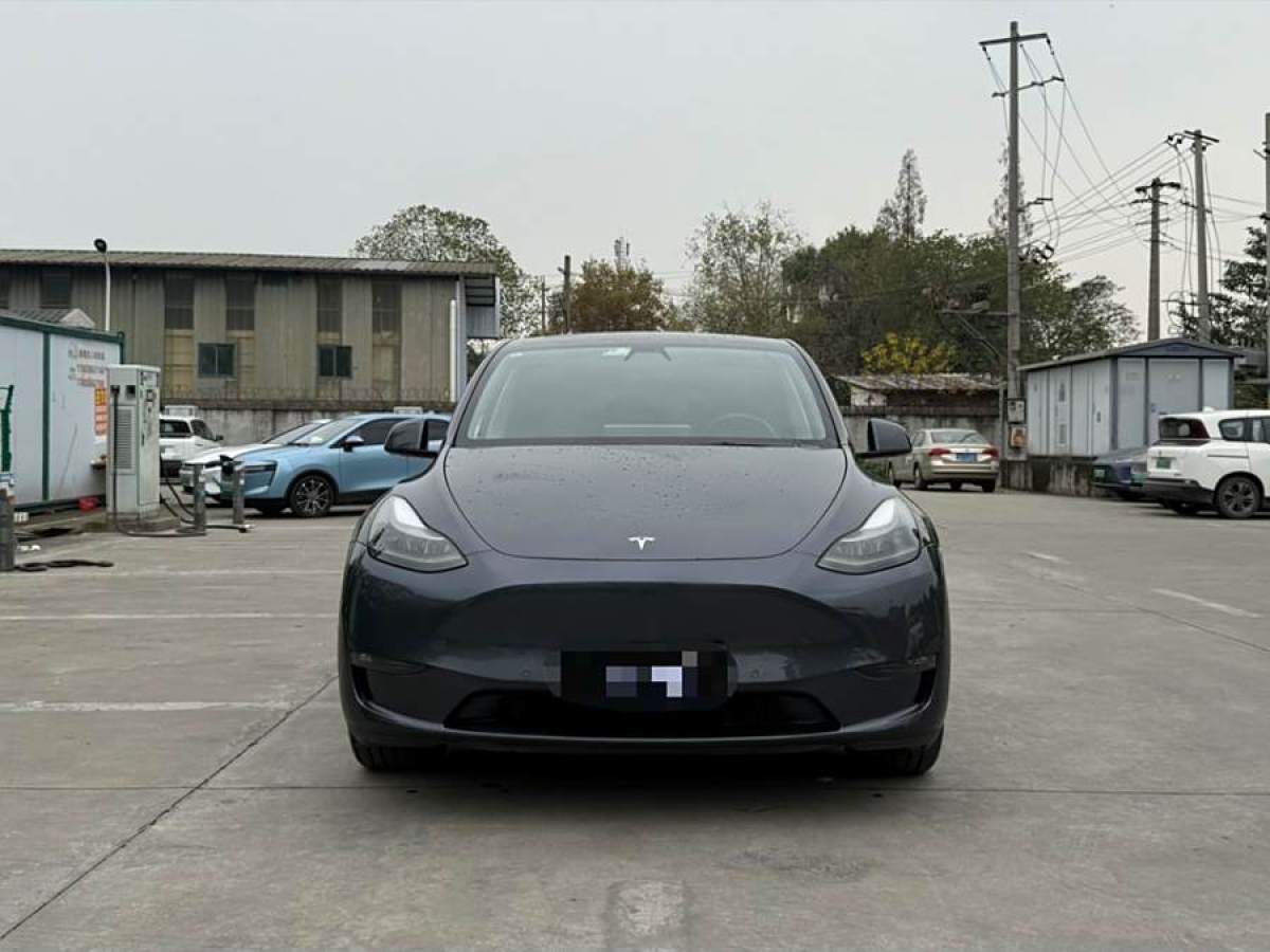 特斯拉 Model Y  2021款 改款 長續(xù)航全輪驅(qū)動版圖片