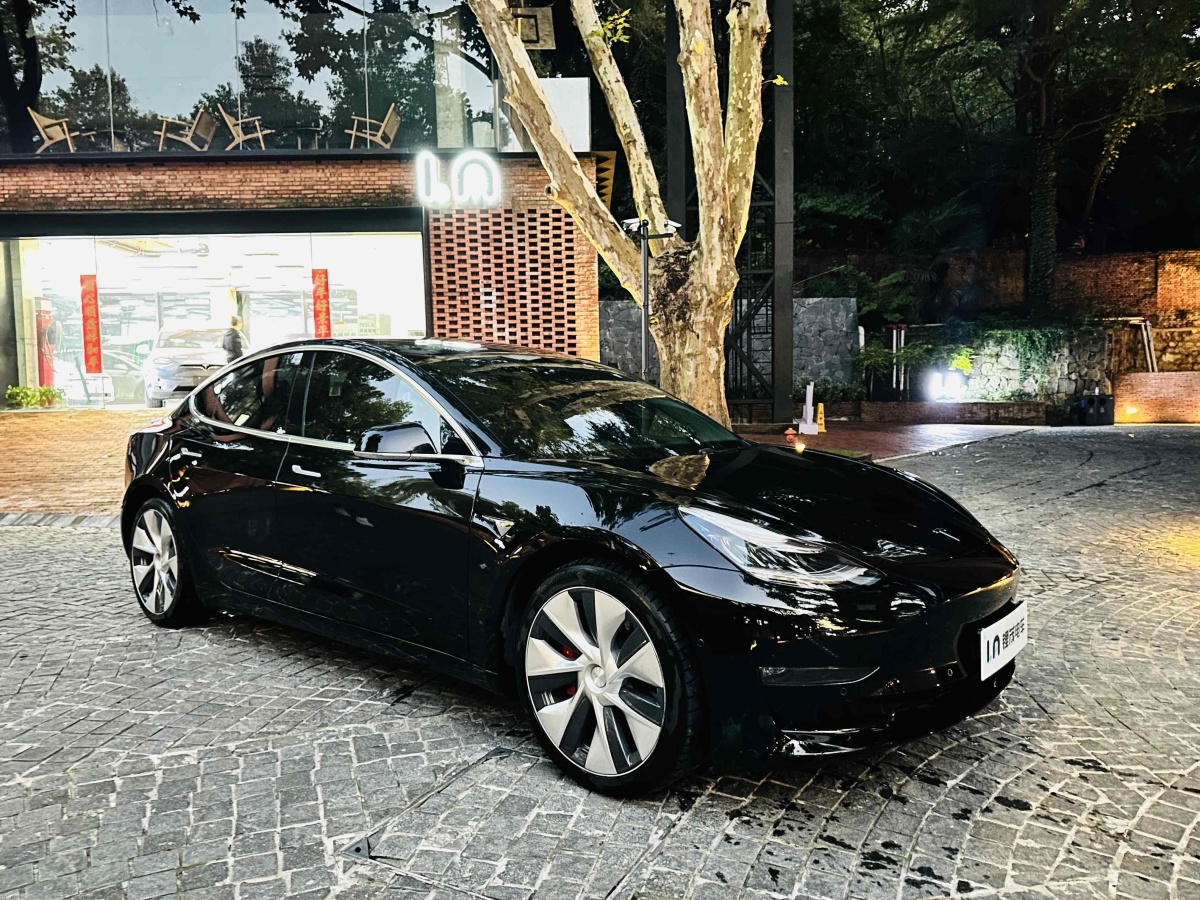 特斯拉 Model 3  2019款 Performance高性能全輪驅(qū)動版圖片