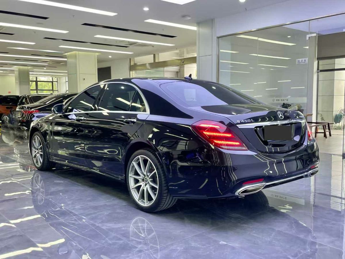 奔馳 奔馳S級(jí)  2020款 S 350 L 商務(wù)型 臻藏版圖片