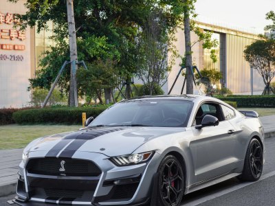 2015年9月 福特 Mustang(進(jìn)口) 2.3T 運(yùn)動(dòng)版圖片