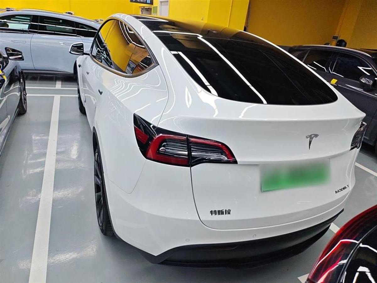 特斯拉 Model Y  2020款 改款 長續(xù)航后輪驅(qū)動版圖片