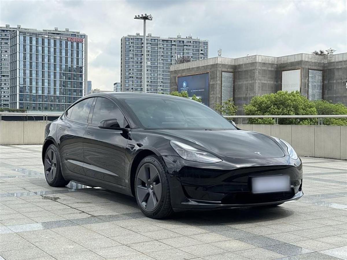 特斯拉 Model 3  2021款 改款 標(biāo)準(zhǔn)續(xù)航后驅(qū)升級版圖片