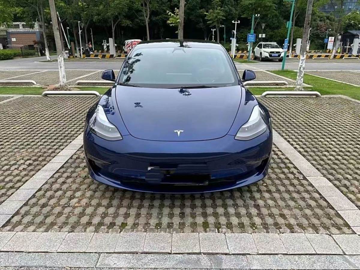 特斯拉 Model 3  2019款 Performance高性能全輪驅(qū)動版圖片