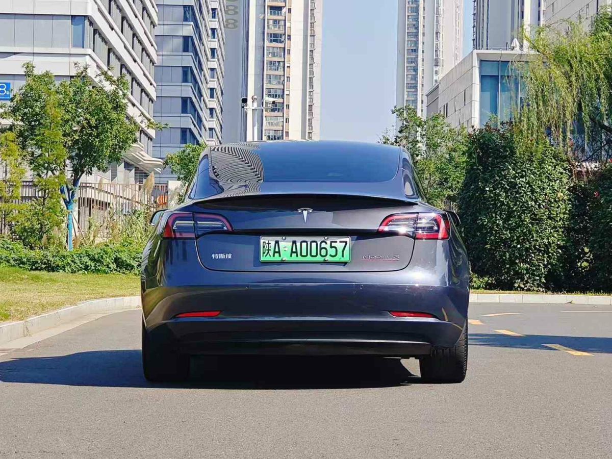 2021年1月特斯拉 Model S  2021款 Performance 高性能版