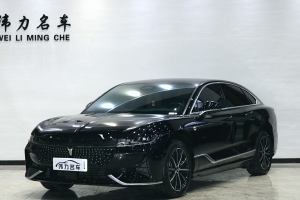 嵐圖追光 嵐圖 PHEV 四驅(qū)超長續(xù)航行政版