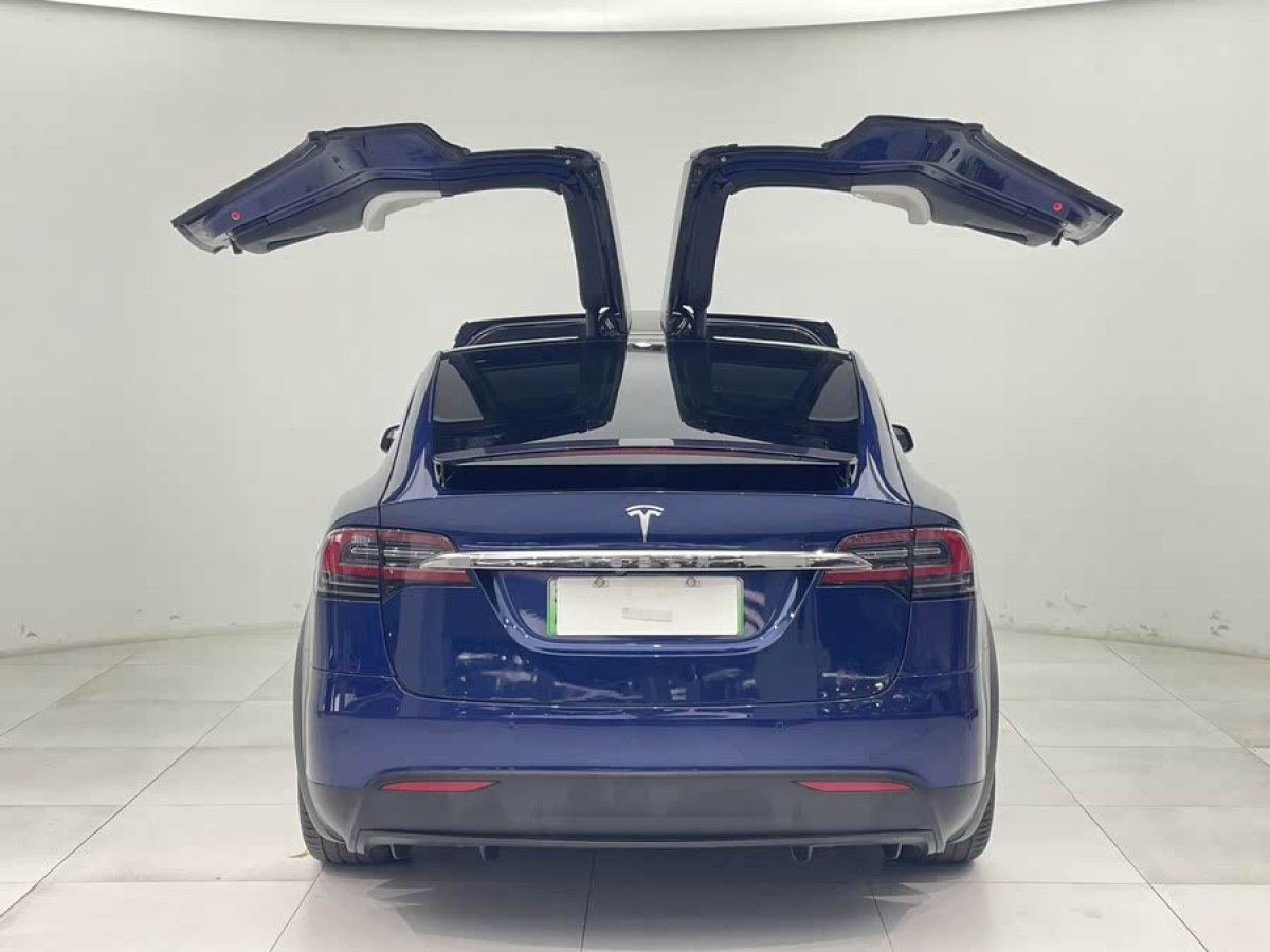 特斯拉 Model X  2017款 Model X 100D 長(zhǎng)續(xù)航版圖片