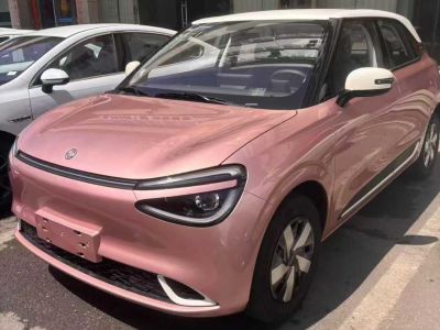 2025年5月 東風(fēng) 銳騏皮卡 2.4L CNG 單氣瓶 兩驅(qū)版 2TZH圖片
