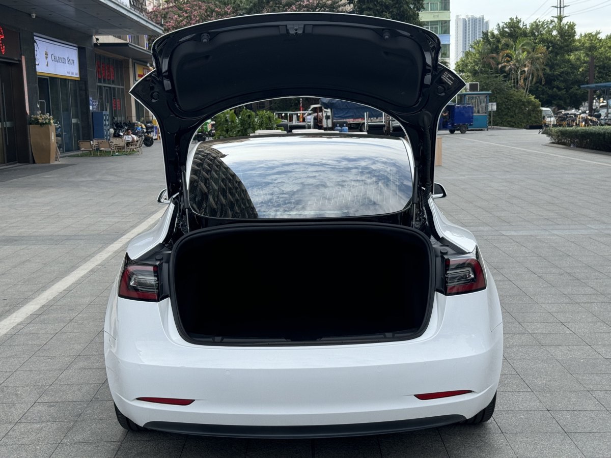 特斯拉 Model 3  2019款 標(biāo)準(zhǔn)續(xù)航后驅(qū)升級版圖片