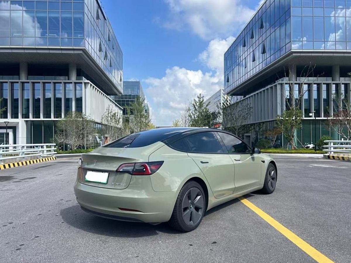 特斯拉 Model 3  2019款 標(biāo)準(zhǔn)續(xù)航后驅(qū)升級版圖片