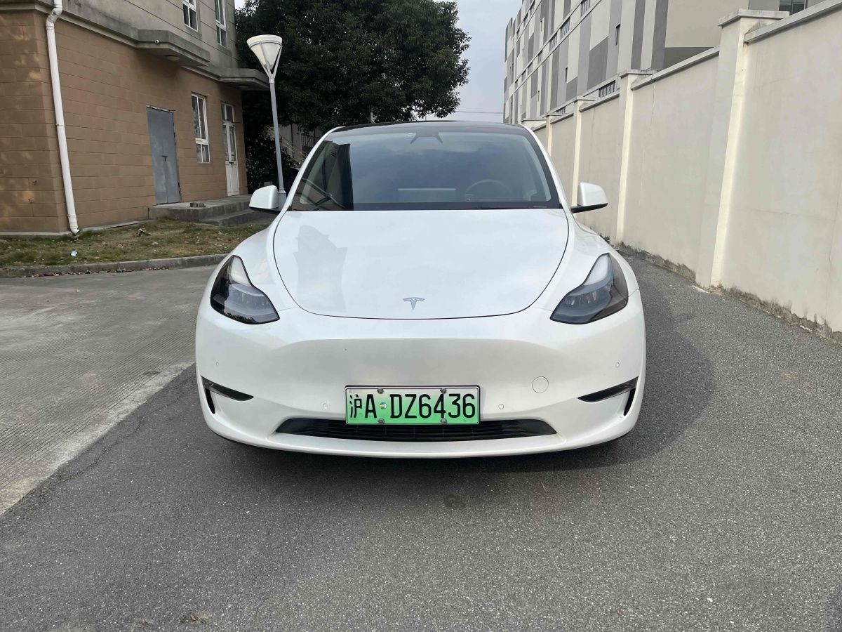 特斯拉 Model Y  2021款 長(zhǎng)續(xù)航全輪驅(qū)動(dòng)版 3D7圖片