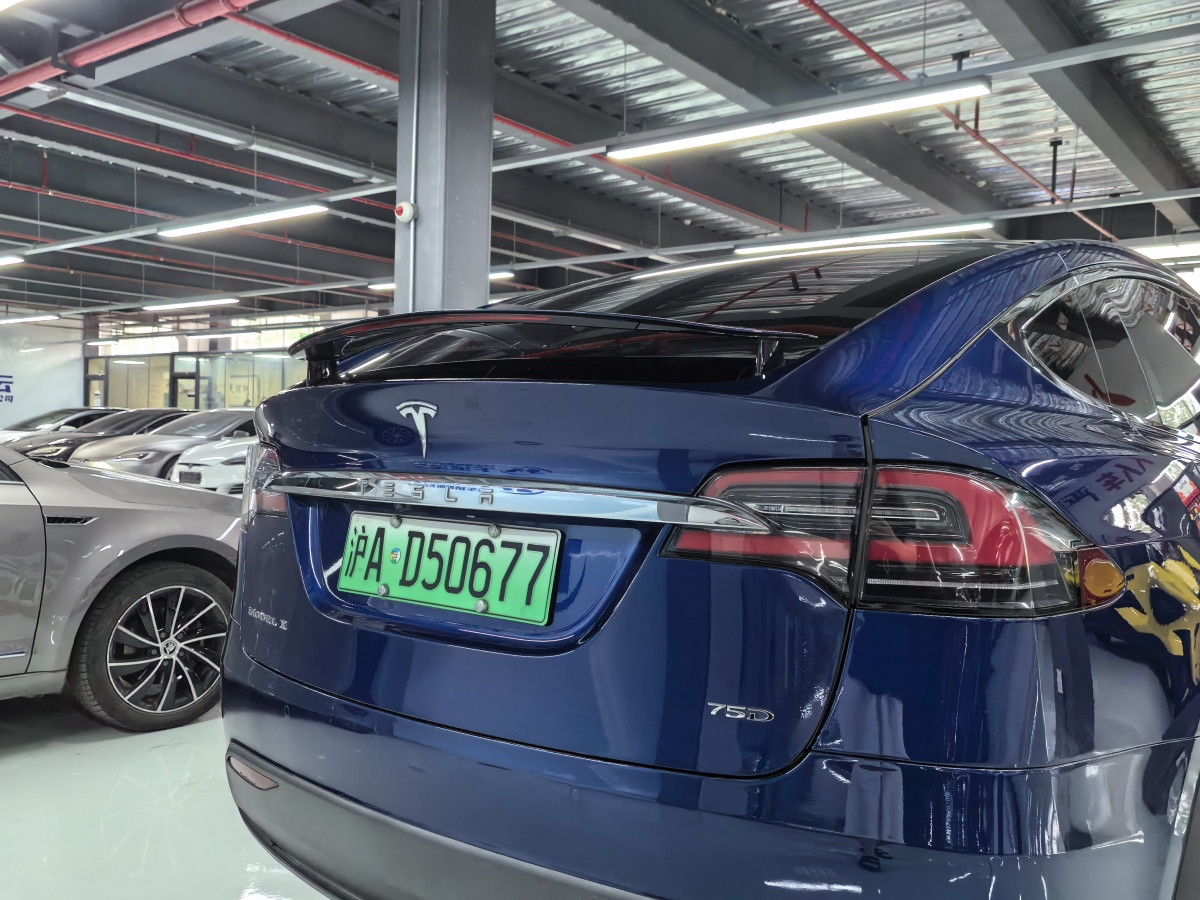 特斯拉 Model X  2016款 Model X 75D图片