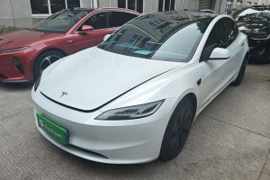 Model 3 特斯拉 長續(xù)航全輪驅(qū)動版