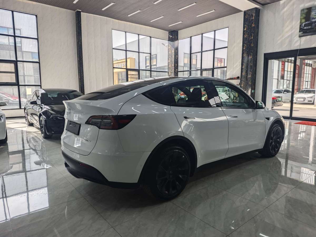 特斯拉 Model Y  2023款 長續(xù)航全輪驅(qū)動版圖片
