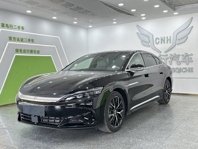 2024年10月 比亚迪 汉 EV 506KM尊贵型图片