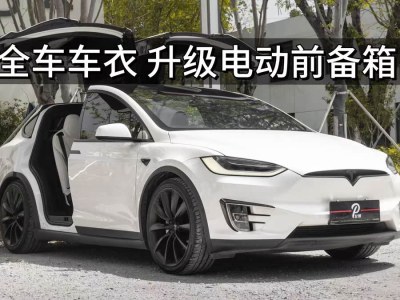 2020年9月 特斯拉 Model X 長(zhǎng)續(xù)航版圖片
