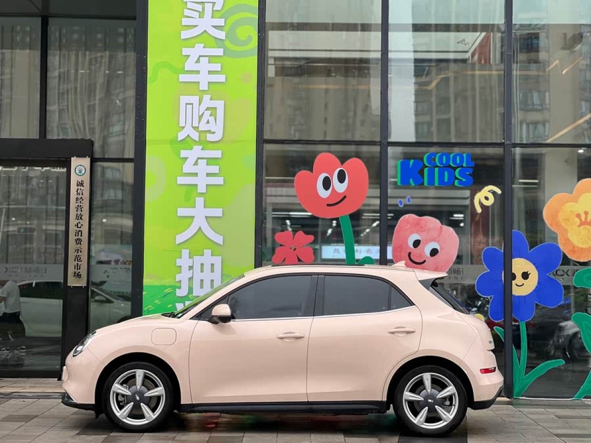 歐拉 歐拉好貓  2022款 400km標準續(xù)航 尊貴型 三元鋰圖片
