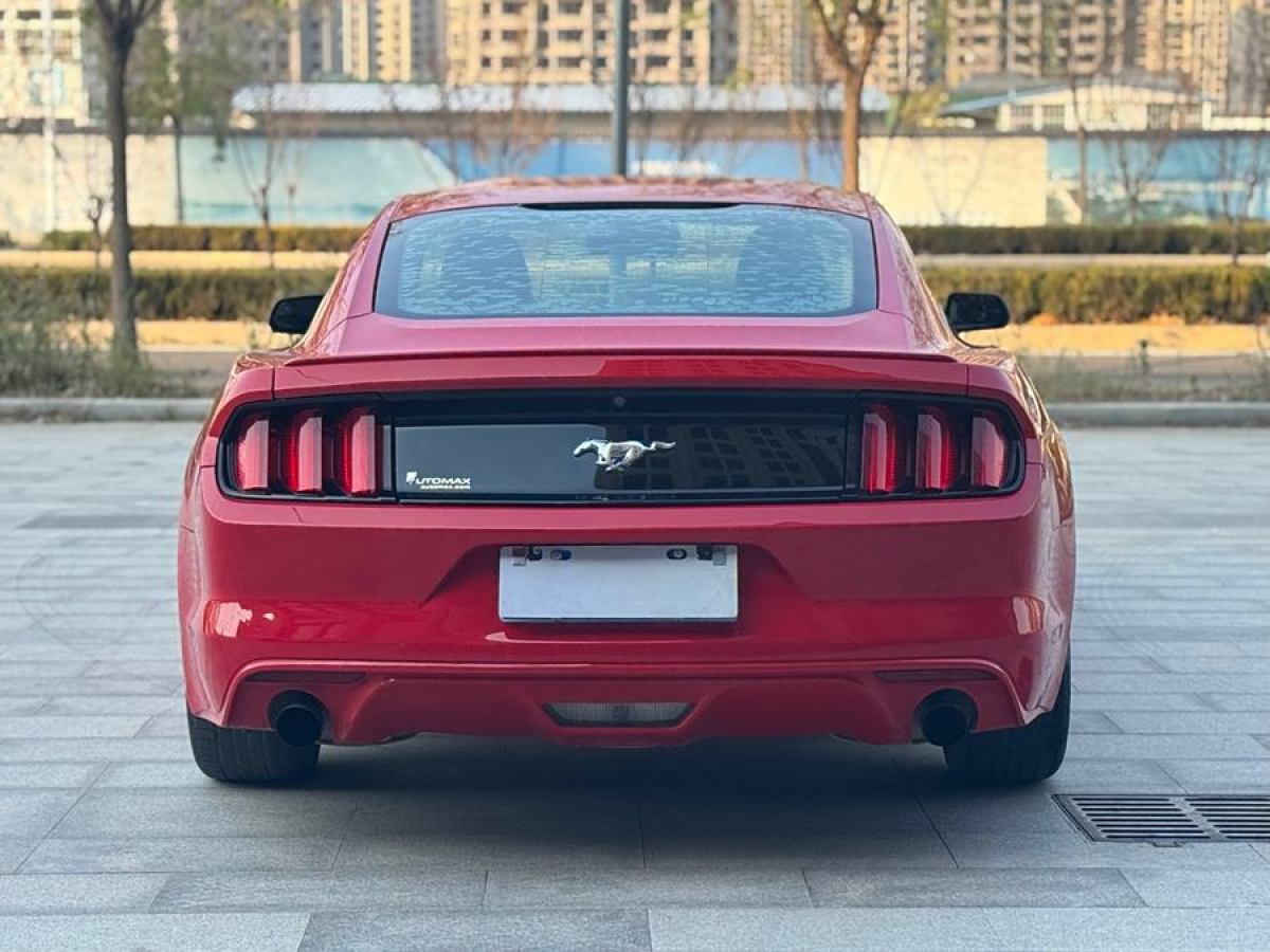 福特 Mustang  2016款 2.3T 性能版圖片