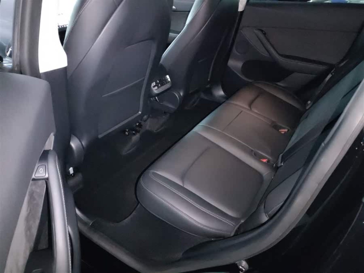 特斯拉 Model Y  2021款 標(biāo)準(zhǔn)續(xù)航后驅(qū)版圖片