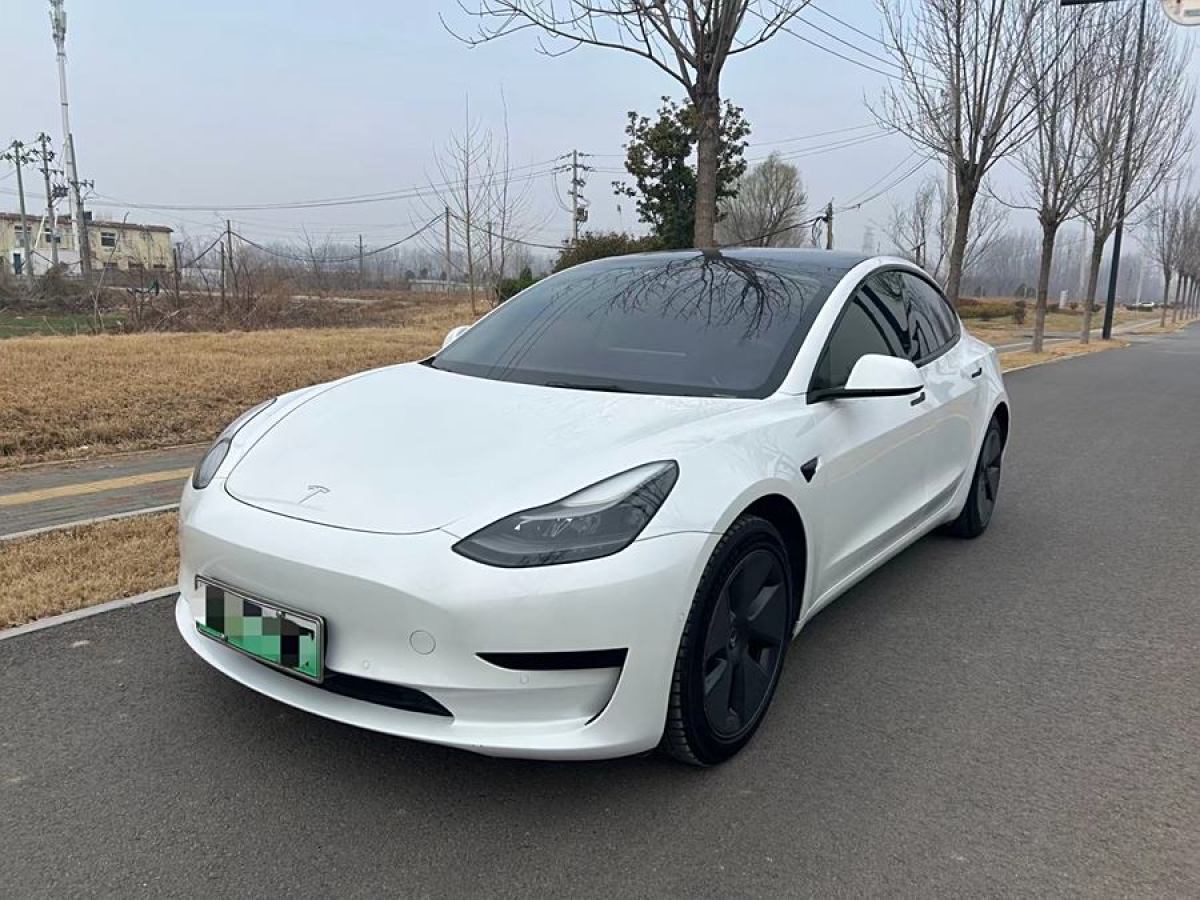 2021年6月特斯拉 Model 3  2021款 改款 標(biāo)準(zhǔn)續(xù)航后驅(qū)升級版