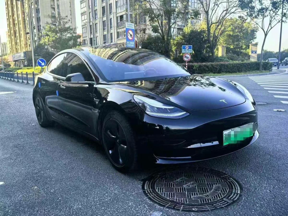 特斯拉 Model X  2020款 Performance 高性能版圖片