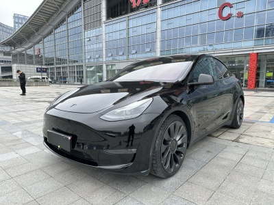 2022年4月 特斯拉 Model Y Performance高性能全轮驱动版图片