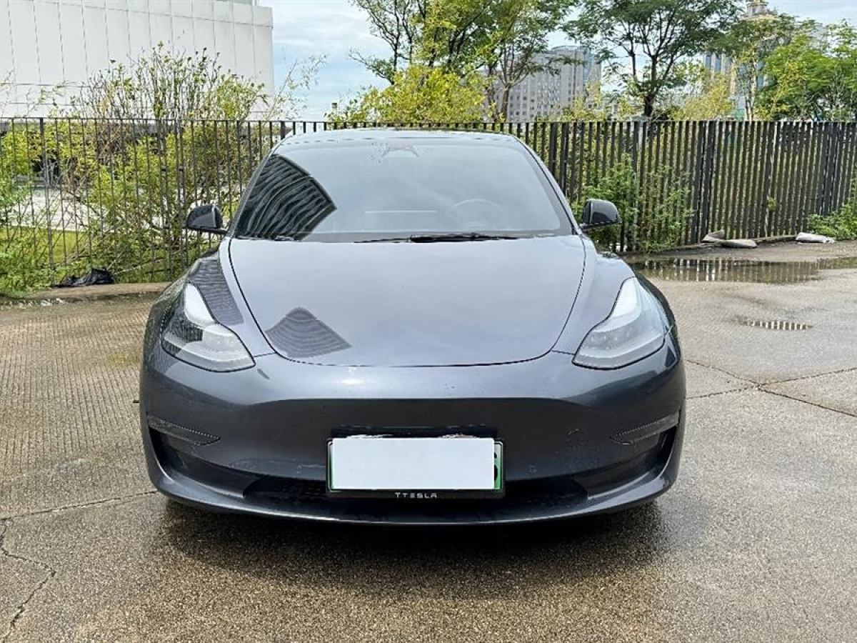 特斯拉 Model 3  2022款 Performance高性能全輪驅(qū)動(dòng)版圖片